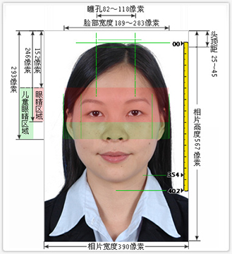 证件照尺寸标注